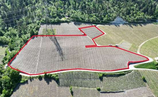 Terrain agricole, 12794.00 m2